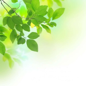 Life Coaching St Albans Hertfordshire 